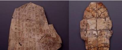 1578614756483094.jpg 3.jpg