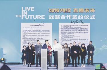 1578664005666782.jpg 2.jpg