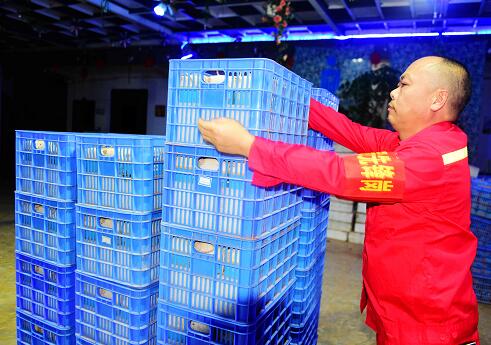 1605501670951581.jpg 22.jpg