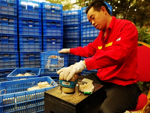 1605502220855156.jpg 图二:将测试好的节点仪一个一个的扭牢.jpg