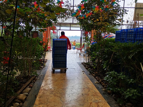 1605502271485135.jpg 图五:测试完毕的节点仪装篮后一车一车往外拉,准备装车,拉到野外极性试验现场.jpg