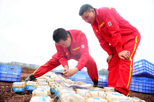 1605502322561455.jpg 图八:一人在用手机扫描二维码,另一人在旁边观摩学习.jpg