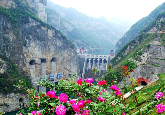 1609233680704214.jpg 2.jpg