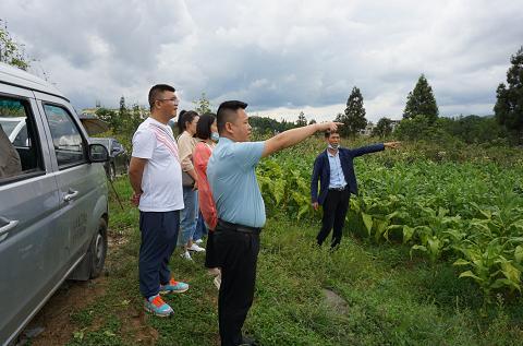 大秦电网在构建以新能源为主体的 新型电力系统实践中先行示范