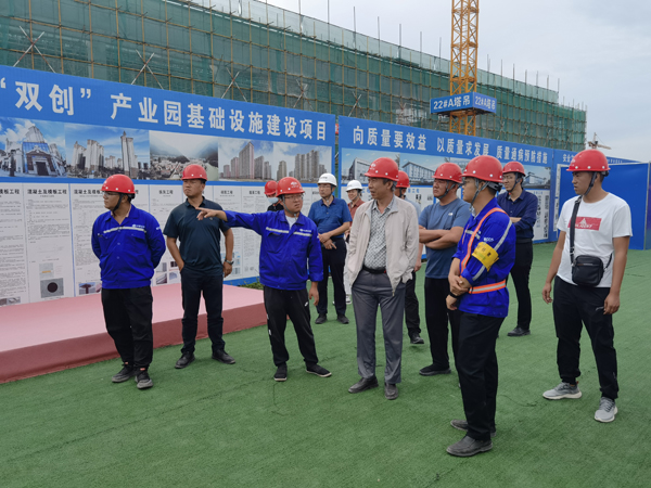 检查组实地查看项目现场.JPG