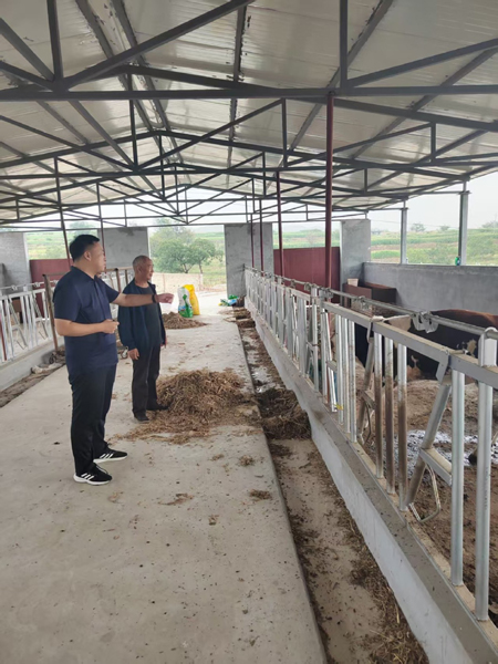 1767936536593072.jpg 1.jpg