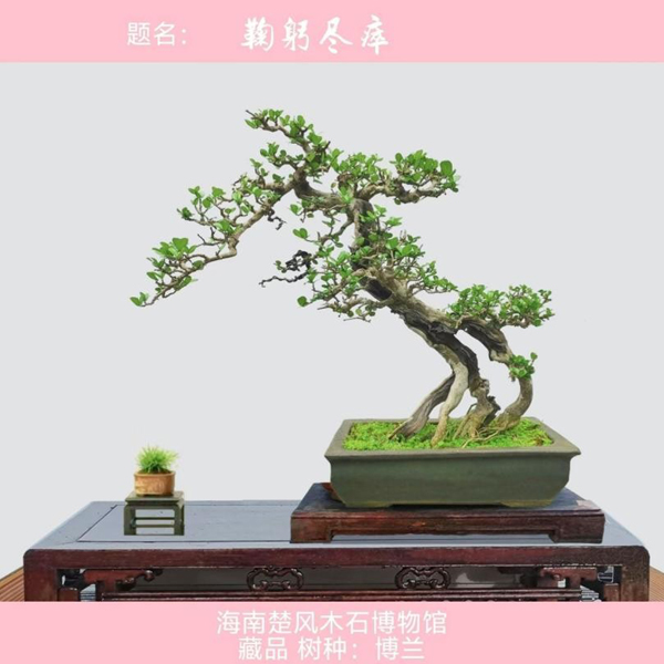 图片7.jpg
