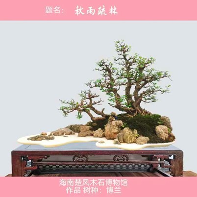 图片8.jpg