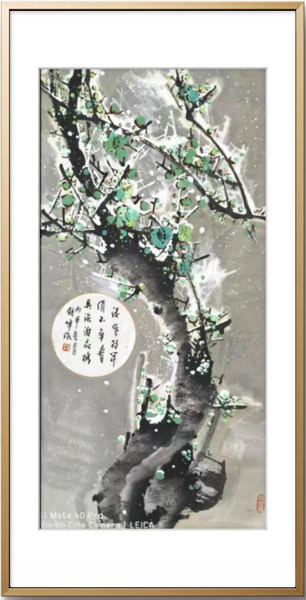 图片30.png