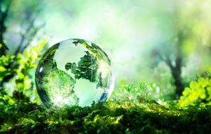 中国石化胜利石油工程公司：绿色企业创建让发展的动力更足