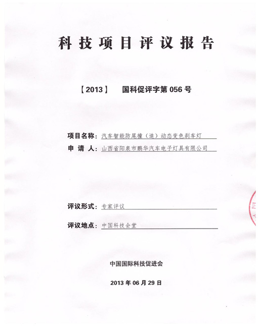 项目评议报告（中国国际合作促进会）