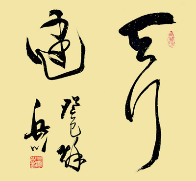 王岳川 《易经》天行健