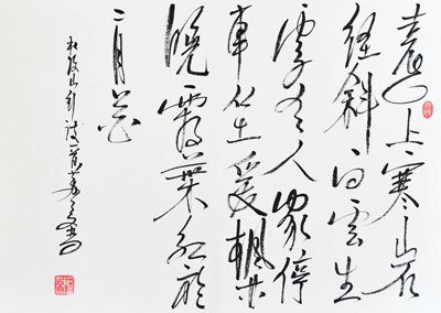 苏占文作品2
