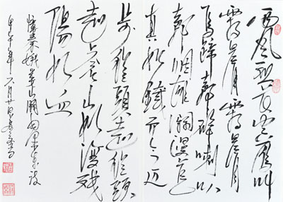 苏占文作品5