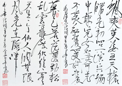 苏占文作品7