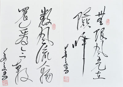 苏占文作品8