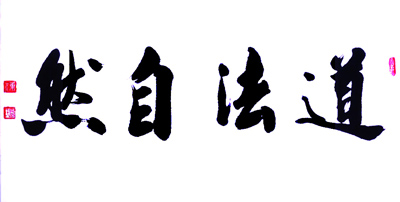 盘东才书道法自然