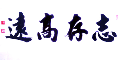 盘东才书志存高远