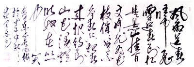 盛安乐作品4