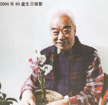 赵元华