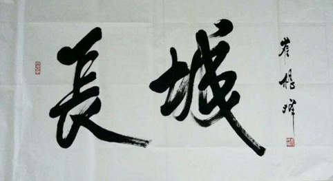 崔根峰将军作品