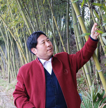 田振江