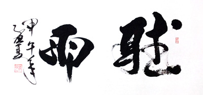 苏煜作品2