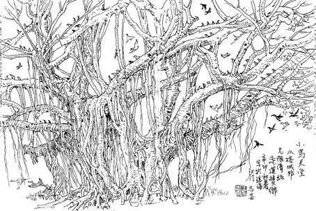 树 广东孙中山家乡看到的大榕树
