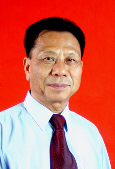 田平开