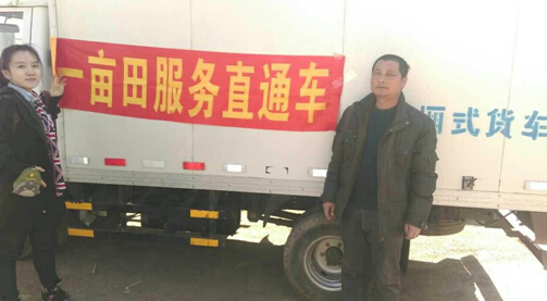 当地滞销胡萝卜已经找到部分采购商并发货