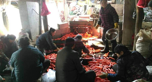 沈阳胡萝卜严重滞销：微博引发“网络救灾”