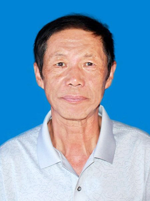 田胜新