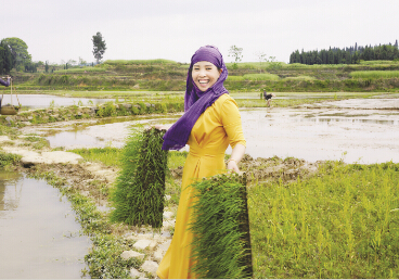 女董事长变身“种田大户”