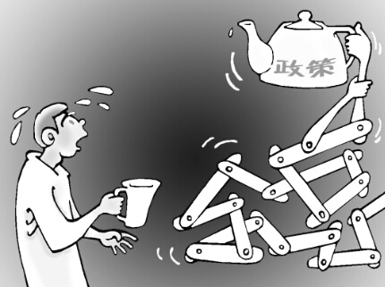 D代表