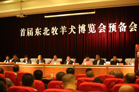 新闻发布会现场