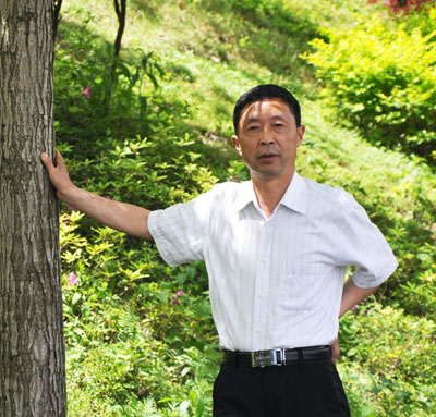 娄高排
