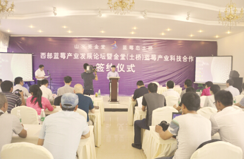 西部蓝莓产业迅猛发展的成因分析