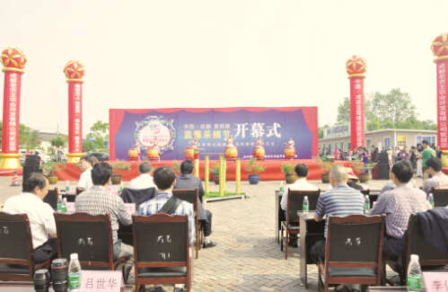 成都大邑蓝莓节在老龙王蓝莓产业园开幕