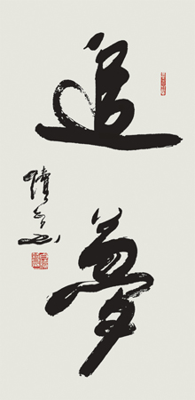 行书 追梦 40X90cm 中华人民共和国主席习近平存念