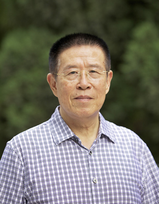 郁志桐