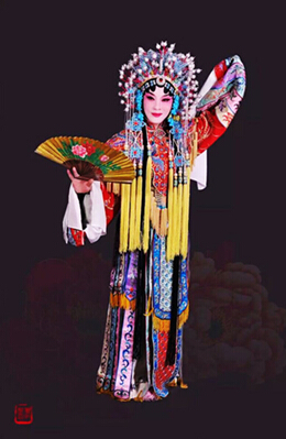 韩宁宁《京剧荟萃与书法融合》作品集首发式盛大开幕