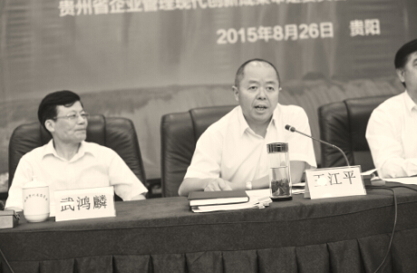 后发赶超走新路 开创贵州省大企业发展新局面
