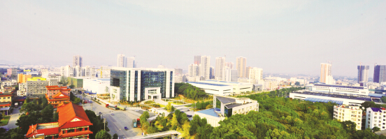 劲牌公司俯瞰