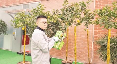 好果子创始人：冷康麒