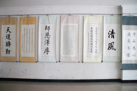 庆祝建党95周年书画文化传播大使自胜氢先生西双版纳个人书画展