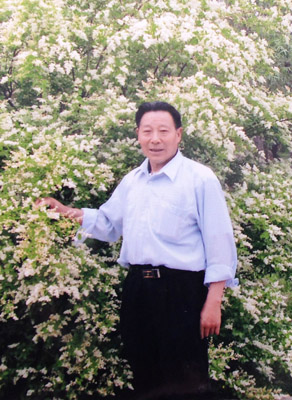 张依杰