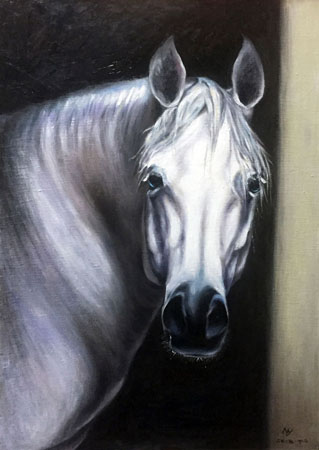 《心语之十一·凝视》 70cmX50cm 布面油画 2015年