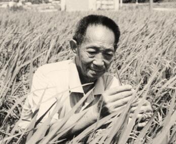 袁隆平