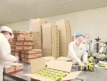 范正海：原材料价格上涨更要做好产品性价比