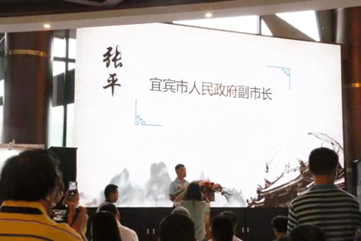 副市长张平为此次展览代表发言